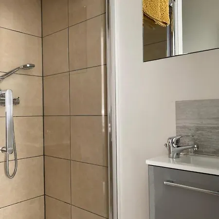 Apartment Chez Aurel Raismes