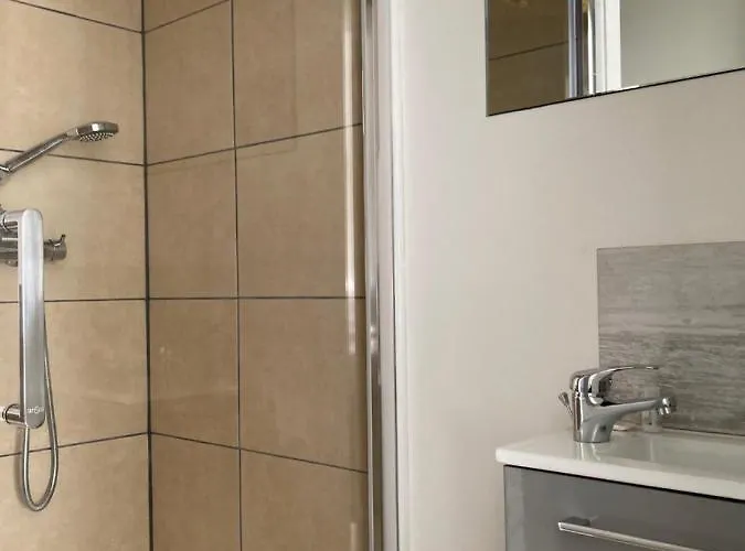 Apartamento Chez Aurel Raismes