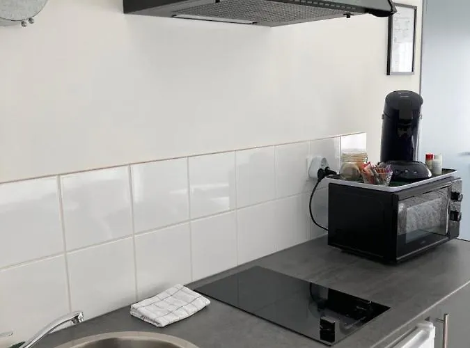 Apartamento Chez Aurel Raismes